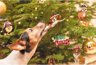 18Pcs Dog Christmas Tree Ornaments Merry Woofmas Happy Pawlidays 4