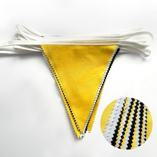 Sunflower Theme Bunting Flag Banner in Yellow, White & Black (32Ft) 6