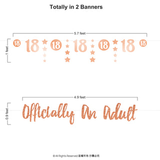 18th Birthday Banner in Rose Gold (2pcs) 5