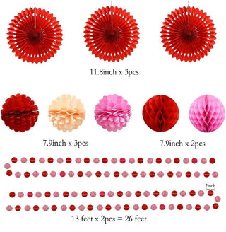 Rose Red Pink Party Pom Pom Kit for Valentines Day Decorations 2