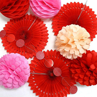 Rose Red Pink Party Pom Pom Kit for Valentines Day Decorations 3