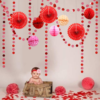 Rose Red Pink Party Pom Pom Kit for Valentines Day Decorations 5