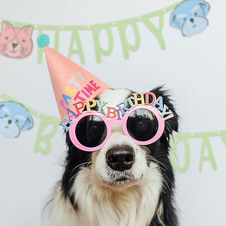 Pink party fabric cone hat with pom pom, printed “PARTY TIME”