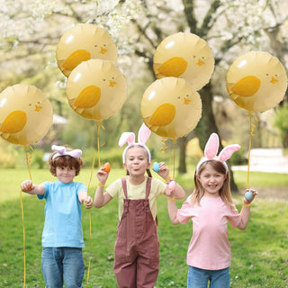 Chicken Balloons Farm for Kids Birthday Theme Party Decorations