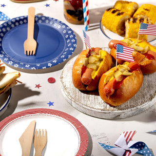 Independence Day Paper Plates Set 24pcs 7-Inch in Red Blue & White