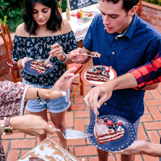 Independence Day Paper Plates Set 24pcs 7-Inch in Red Blue & White