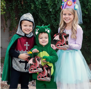 Dragon Medieval Gift Bags (Pack of 8)