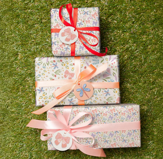 Garden Party Butterfly and Dragonfly Wrapping Paper (12 Pcs)
