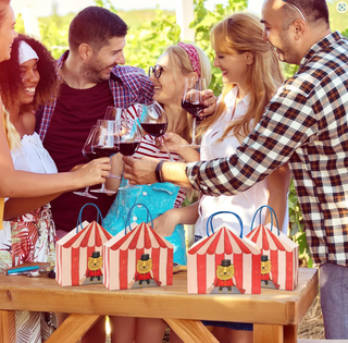 Carnival Circus Tent Gift Bags for Boys' Birthday (8 Pcs)